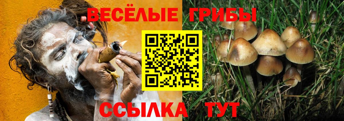 Галлюциногенные грибы ЛСД Городец