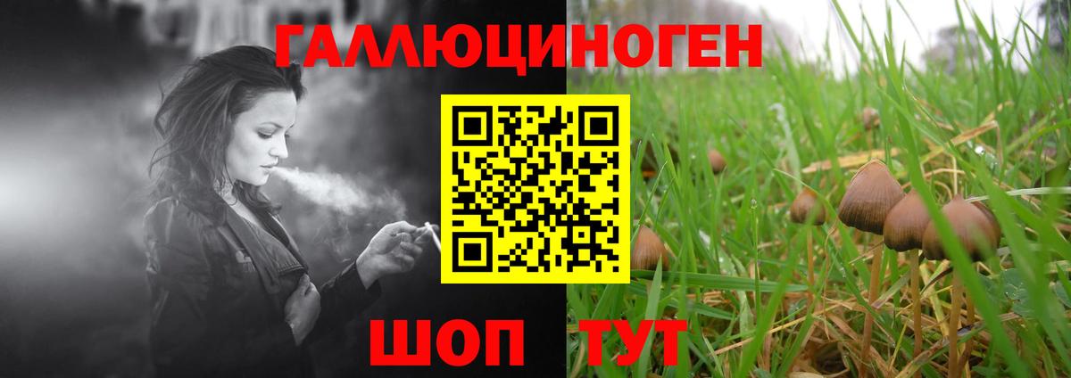Псилоцибиновые грибы Cubensis  наркота  Городец  Вход с VPN  Галлюциногенные грибы Psilocybine cubensis 